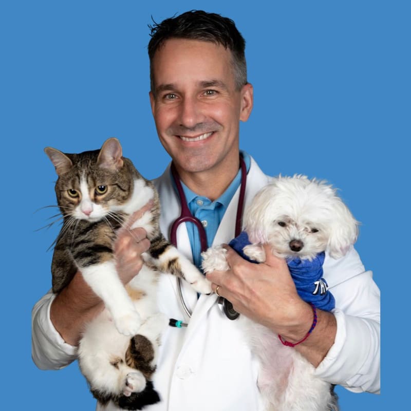 Dr. Matt McGlasson